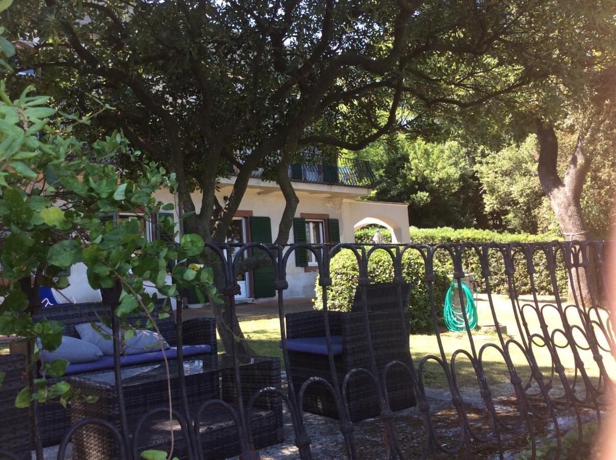 D'Ago48 Bed & Breakfast Ancona Dış mekan fotoğraf